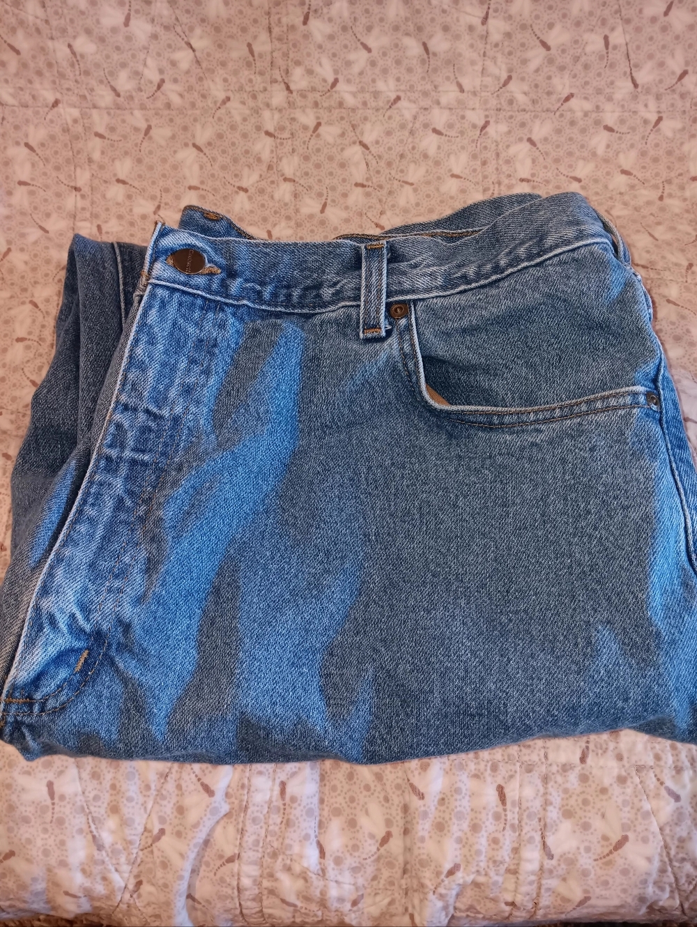Carhartt Blue Relaxed Fit  Men’s Jeans 42x34